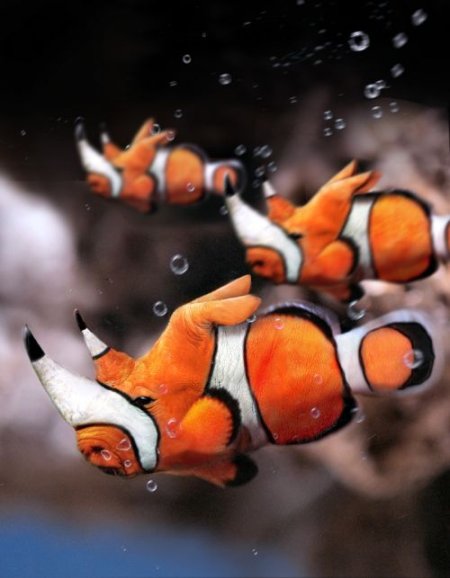 Photoshop Tiere Bild 1