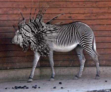 Photoshop Tiere Bild 4