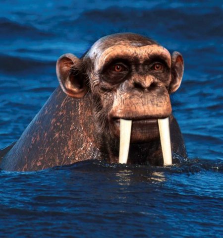 Photoshop Tiere Bild 20