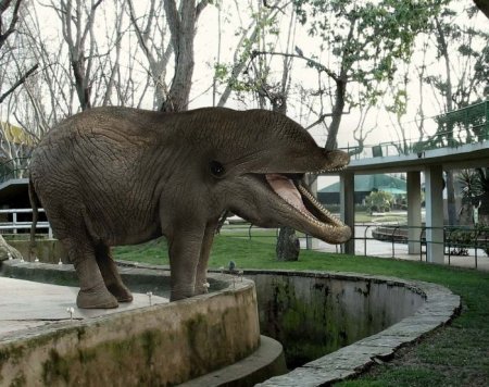 Photoshop Tiere Bild 35